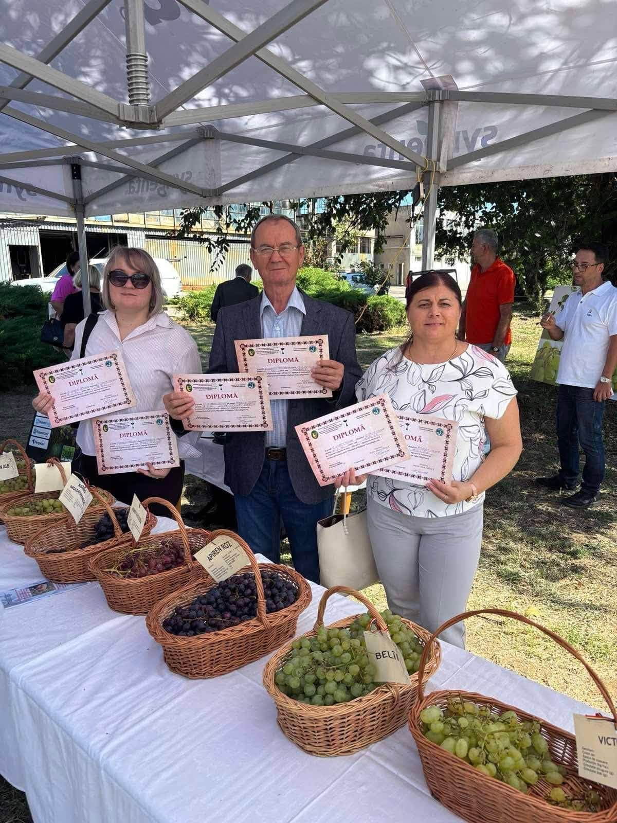 Republica Moldova, premiată pentru strugurii de masă în România