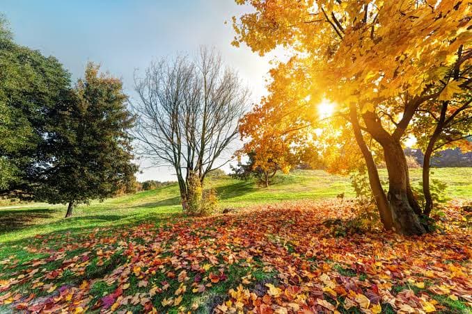 Cer variabil și temperaturi moderate