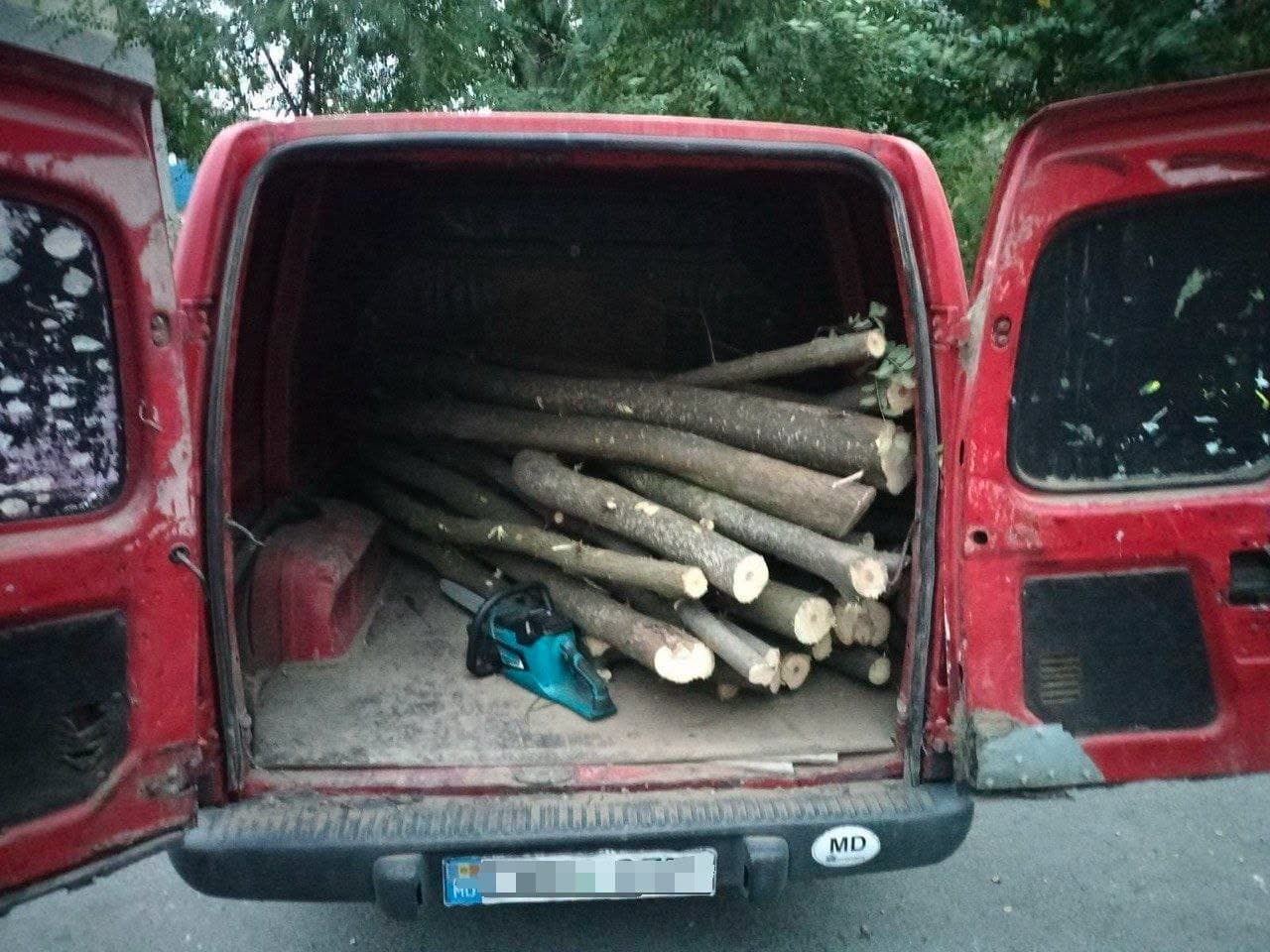 Șase cazuri de tăiere ilegală a arborilor, depistate de polițiștii din Taraclia
