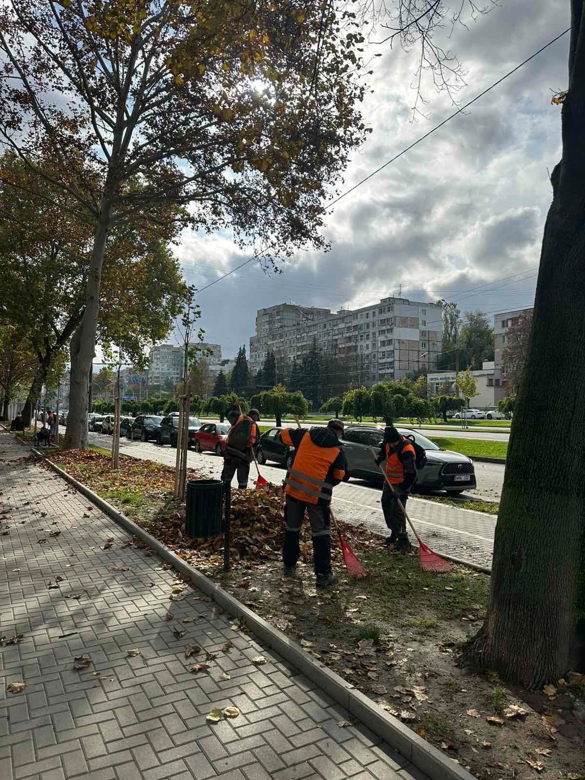 Curățenia generală de toamnă continuă în Capitală