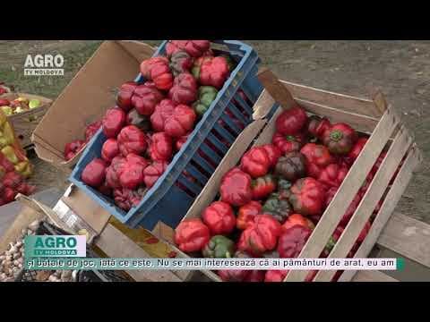 Comercianții stradali din Edineț au ajuns la limita răbdării