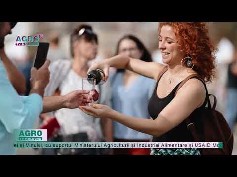 Zeci de vinării și mii de turiști de Ziua Vinului