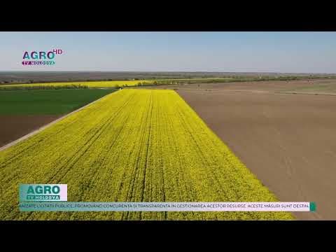 Modificări importante în administrarea terenurilor agricole în Republica Moldova