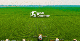 AgroDoctor